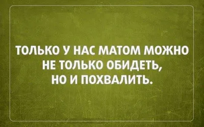 Матерные футболки с надписями, футболка с матами картинки