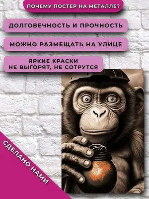 Постер Обезьяна с гранатой Подарки приколы НЕЙРОСЕТЬ 159600206 купить за  121 700 сум в интернет-магазине Wildberries картинки