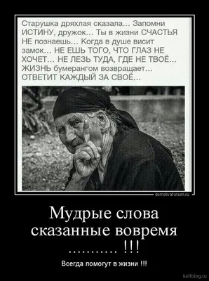 Смешные демотиваторы со смыслом | Kaifolog | Дзен картинки