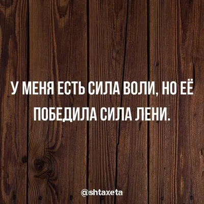 Приколы со смыслом. Класс! / Писец - приколы интернета картинки