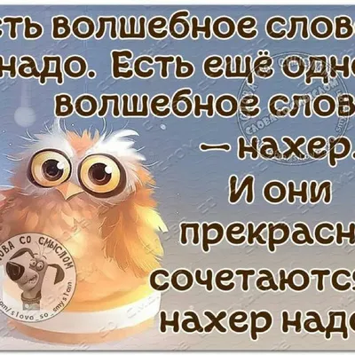 Картинки с юмором и смыслом » Приколы, юмор, фото и видео приколы, красивые  девушки на кайфолог.нет картинки