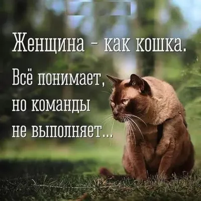 Картинки с глубоким смыслом / смешные картинки и другие приколы: комиксы,  гиф анимация, видео, лучший интеллектуальный юмор. картинки