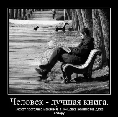 Прикольные демотиваторы со смыслом, часть 12 (37 фото) картинки