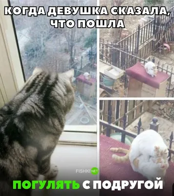 Я: *сажусь рядом с какой-то девушкой в автобусе* Девушка: *уходит* Я: /  Пираты Карибского Моря :: Фильмы :: смешные картинки (фото приколы) ::  надпись на картинке :: приколы для даунов / смешные картинки