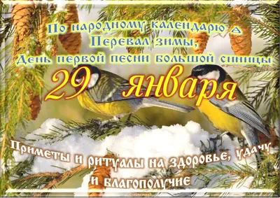 Лэпбук «Зима» и «Новый год» (6 фото). Воспитателям детских садов, школьным  учителям и педагогам - Маам.ру картинки