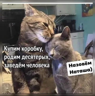 Привет)) ты просто Л Л Л 01:21 Спасибо) 0121 Парень есть?) 01:22 Ща погоди,  посмотрю твои фотки / Приколы для даунов :: интернет :: переписка ::  женщины :: разное / картинки, гифки, прикольные комиксы, интересные статьи  по теме. картинки