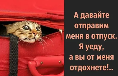 Кто-то: где ты планируешь провести летний отпуск? / Приколы для даунов ::  разное / картинки, гифки, прикольные комиксы, интересные статьи по теме. картинки