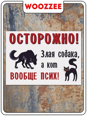 Прикольные открытки и стихи в День психа 24 октября для всех психованных |  Курьер.Среда | Дзен картинки