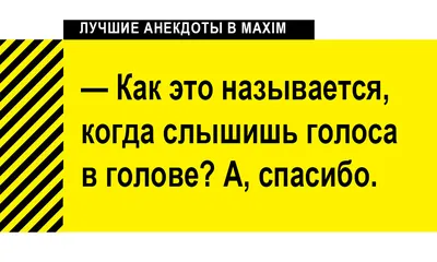 Табличка Осторожно злая собака, а кот вообще псих / табличка / таблички на  дверь / прикольные подарки / сувениры и подарки / таблички информационные —  купить в интернет-магазине по низкой цене на Яндекс Маркете картинки