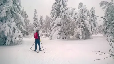 Ранняя зима картинки