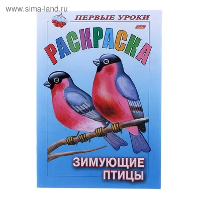 Раскраска Зимующие птицы распечатать бесплатно картинки