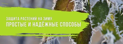 Как уберечь растения от перепадов температур? | Интернет-магазин садовых  растений картинки