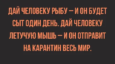 Инет — Улыбнуло ? — ГАЗ Соболь, 2,2 л, 2006 года | прикол | DRIVE2 картинки