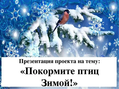 Экологический краткосрочный проект во второй группе раннего возраста  «Покормите птиц зимой картинки