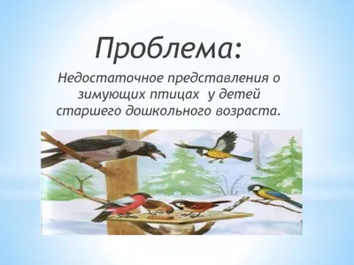 Занятие по развитию зрительного восприятия на тему \"Зимующие птицы\" картинки