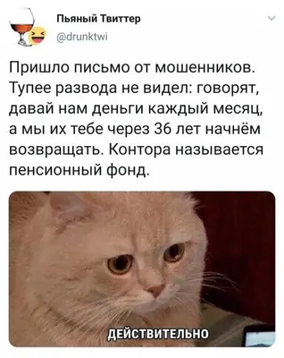 такси #яндекс #индрайвер #приколы #fyp #hype #lol #trand #рек #тренды |  TikTok картинки