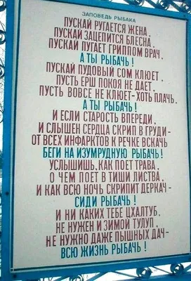 Рыбаки приколы на рыбалке 2021 /Пьяные на рыбалке 2021 /Девушки на рыбалке  2021 | Рыбалка, Животные, Смех картинки