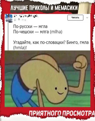 Ржачные Приколы (@funnyoftheworld) • Фото и видео в Instagram Лучшие Приколы  2019 #приколы #юмор #смех #funnymemes #funny #funnypictures | Man humor,  Funny, Cats картинки