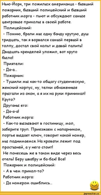 лечитеюмор😁 #анекдотец #анекдоты😁приколы😄юмор😅 #позитив #смехдосл... |  TikTok картинки