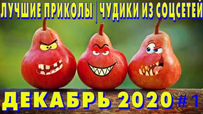 100% ржака, от которой болит живот. Действительно смешно! / Писец - приколы  интернета картинки