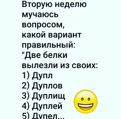 немного ржаки / смешные картинки и другие приколы: комиксы, гиф анимация,  видео, лучший интеллектуальный юмор. картинки