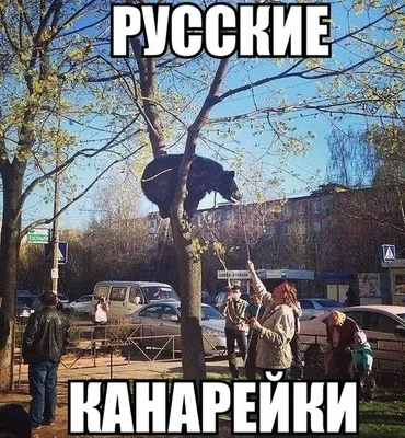 Мне смешно - #счастье #детство #самолет #приколы #прикол #юмор #шутки  #сарказм #сарказмы #анекдот #анекдоты #ржудослез #ржака #ржунемогу #смешно  #смешныекартинки #дети #деткиконфетки | Facebook картинки