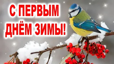 Открытки с первым днем зимы, поздравления в стихах, прозе, приколы — Разное картинки