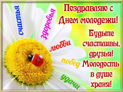 Спраздником #Днем #Молодежи #Прикольное #видео #поздравление #надень # молодежи #Музыкальная #видео #открытка #… | Открытки, Поздравительные  открытки, Веселые мысли картинки