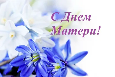 Поздравьте маму с Днем матери 27 ноября: красивые и прикольные картинки к  празднику - МК Новосибирск картинки