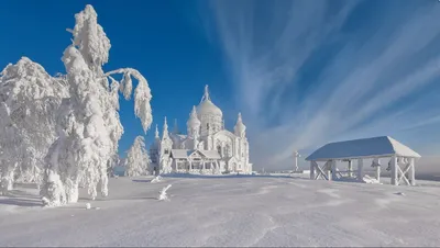 Зима. Галерея морозных фото - Искусство - 31 декабря - 43636875497 -  Медиаплатформа МирТесен картинки