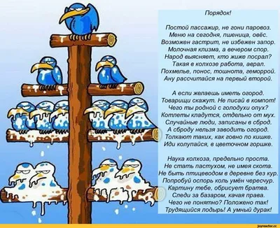 Свежие приколы 2015: истории из жизни, советы, новости, юмор и картинки —  Все посты, страница 122 | Пикабу картинки