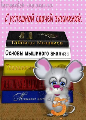 Коронавирус — официальный портал ООН | Организация Объединенных Наций картинки