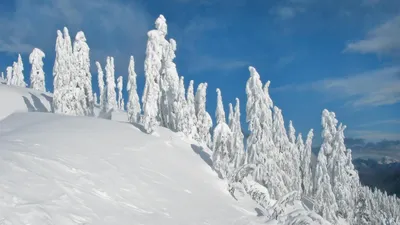 Фото Зима Природа Времена года картинки