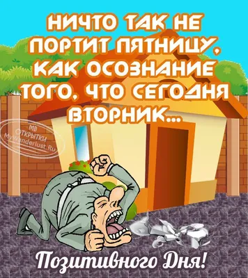 Прикол про вторник и пятницу. Пожелание позитивного дня картинки