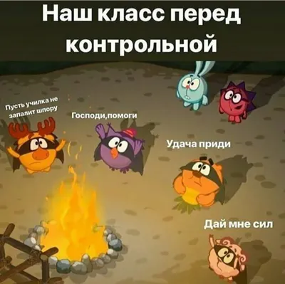 Топ приколов про Смешарикоф 😂 | Смешарики Amino картинки