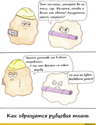 Рисованные картинки! / Beatrice the Biologist :: Перевод :: перевела сама  :: наука :: geek (Прикольные гаджеты. Научный, инженерный и айтишный юмор)  :: Смешные комиксы (веб-комиксы с юмором и их переводы) / картинки