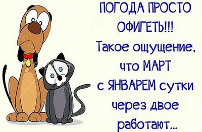 Картинки погода налаживается прикольные (63 фото) » Картинки и статусы про  окружающий мир вокруг картинки