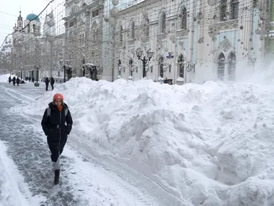 Поздравляем всех со вторым днем зимы и пока что мужественно воздерживаемся  от мандаринов — нам несвойственно форсировать. На нашу круглую… | Instagram картинки