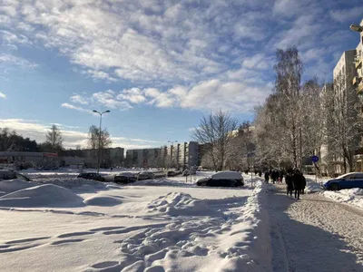 Солнечное зимнее утро - 64 фото картинки