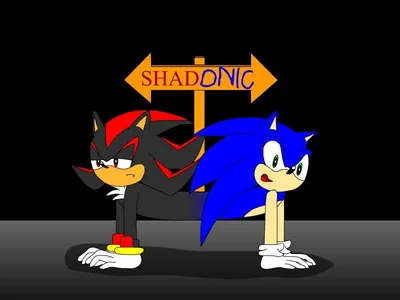 Приколы! - shadonic — Картинки и фанарт с Соником (Sonic the Hedgehog),  Shadow, Amy, фанперсонажи - Sonic World картинки