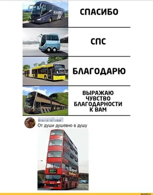 Спасибо, но нет.😅#рекомендации #кошка #прикол #спасибононет @hopecusl... |  TikTok картинки