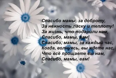 Всероссийский праздник благодарности родителям «Спасибо за жизнь!» —  ДЕМОГРАФИЧЕСКАЯ ПЛАТФОРМА.РФ картинки