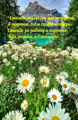 Благодарность родителям. Скажем «Спасибо за жизнь!» самым родным - Сайт  Екатеринодарской и Кубанской епархии картинки