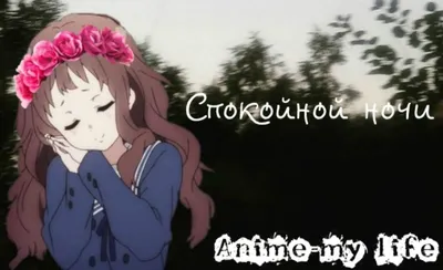 Спокойной ночи и сладких снов котятки^^ | Аниме Amino Amino картинки