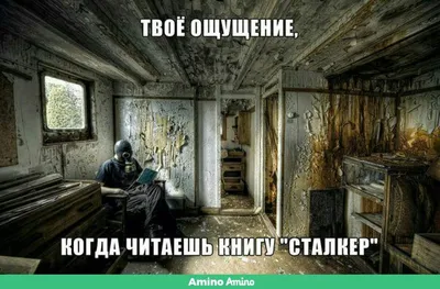 Приколы | S.T.A.L.K.E.R Amino [RU] Amino картинки