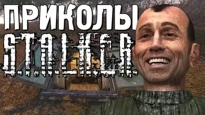 Приколы | S.T.A.L.K.E.R Amino [RU] Amino картинки