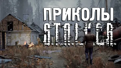 S.T.A.L.K.E.R 2 is a survivor horror semi mil-sim game coming out this... |  TikTok картинки