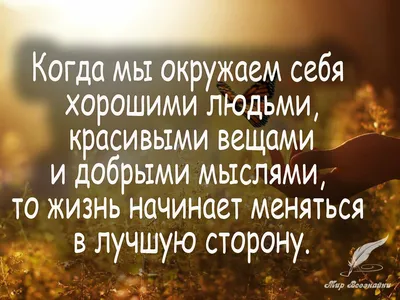 Прикольные афоризмы на все случаи жизни | Жизнь в стиле Ноль отходов (zero  waste) | Дзен картинки