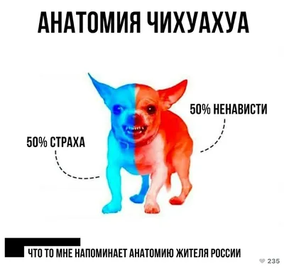 Номофобия: чем обернется для человечества зависимость от гаджетов -  Российская газета картинки