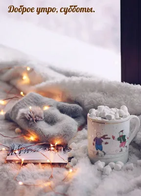 Суббота, ❄️ 2 декабря❄️, С добрым утром ☕ 🌞 ❄️🥰. До Нового года 29 д... |  TikTok картинки